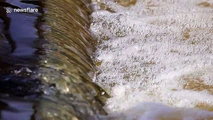 Satisfying slow-motion water flowing over a weir in the River Aire in UK