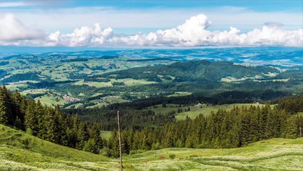 Motivation for Not Wasting Time | Stop Now