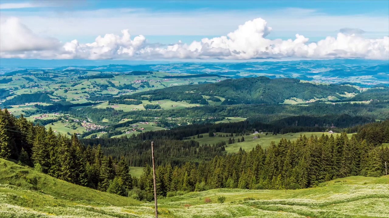 Motivation for Not Wasting Time | Stop Now