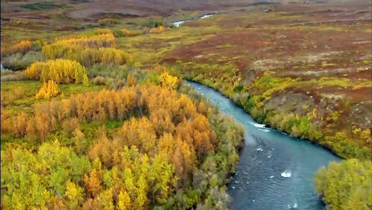 Música Relaxante para Acalmar a Mente Meditacao