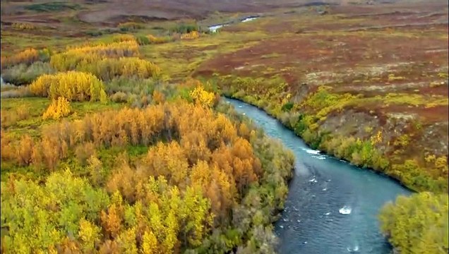 Música Relaxante para Acalmar a Mente Meditacao
