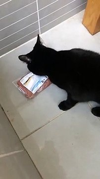 Cat Growling when Trying to Retrieve Minced Meat