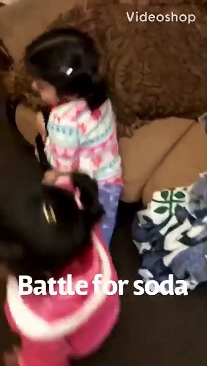 Battle for soda-- fighting for soda funny video-- lets see who will win in this crazy soda battle