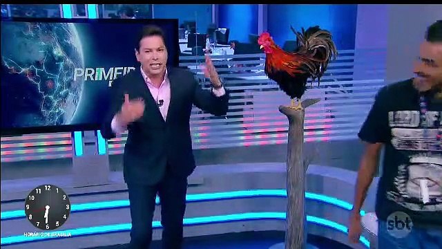 Trecho - Marcão do Povo no Primeiro Impacto (alguns dias antes de se afastar do jornal) (26/03/2020) (06h30) | SBT 2020