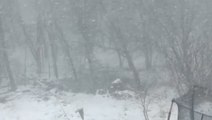 Heavy band of snow hits backyard