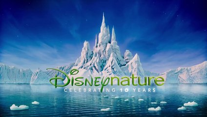 Disneynature's Penguins Official Trailer