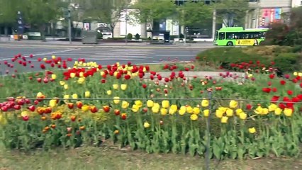 4월 15일 김진의 돌직구쇼 오프닝