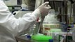 Autorizan en China pruebas clínicas de dos nuevas vacunas contra el coronavirus