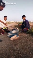 Fukrey Boys return 2020| funny ticktok  vedio\2020