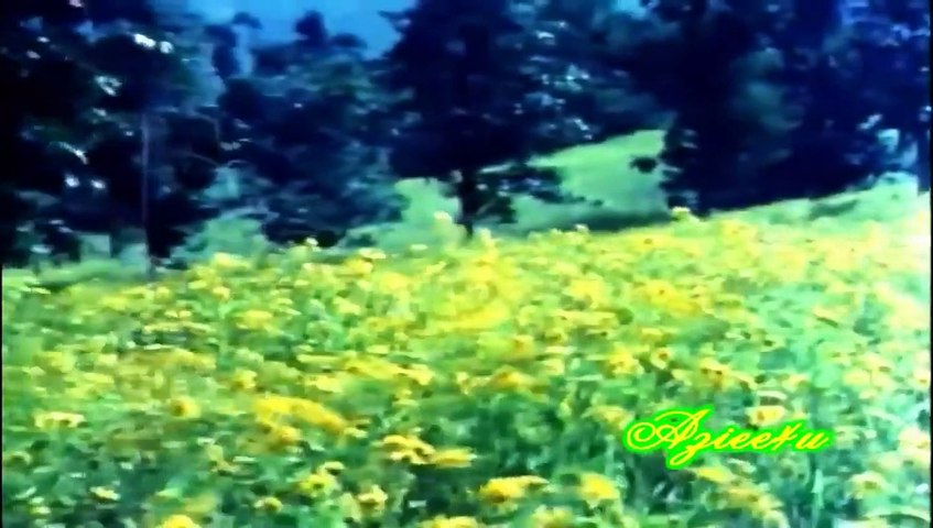 Dil Dhoondhta Hai Phir Wohi Fursat Ke { Bhupinder Singh } Enhanced Version * Mausam *Gulzar`s *