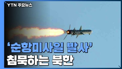 순항미사일 발사 침묵하는 北...태양절도 축소 행보 / YTN