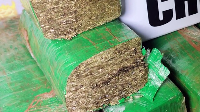 Cinco pessoas são presas pelo crime de tráfico de drogas no Conjunto Riviera
