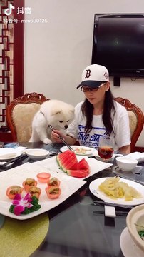 Cute baby animals Videos Compilation cutest moment of the animals - Cutest Puppies and Cats