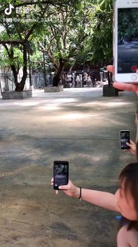 Cute baby animals Videos Compilation cutest moment of the animals - Cutest Puppies and Cats