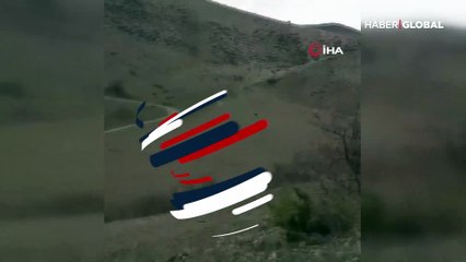 Yaban domuzunun peşine düşen köpekler böyle görüntülendi