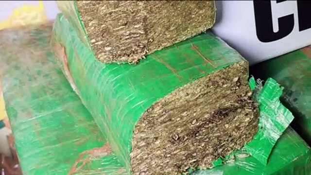 Cinco pessoas são presas pelo crime de tráfico de drogas no Conjunto Riviera