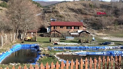 ORDU Kaz çiftliğinde et, yumurta ve civciv siparişlerine yetişemiyor