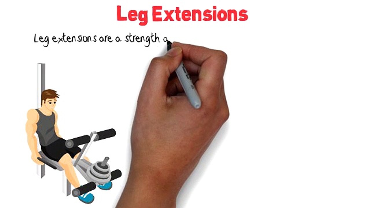 Leg Extensions