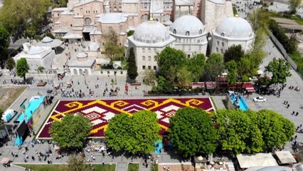 İBB desteği kesince İstanbul'da lale üretimi durdu