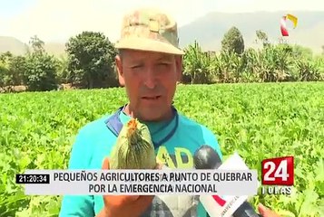 Coronavirus: Pequeños agricultores a punto de quebrar por Estado de Emergencia