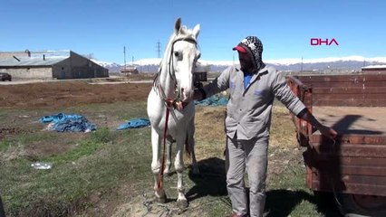 SPOR Cirit sporcusu, toplu taşıma yerine atını kullanıyor