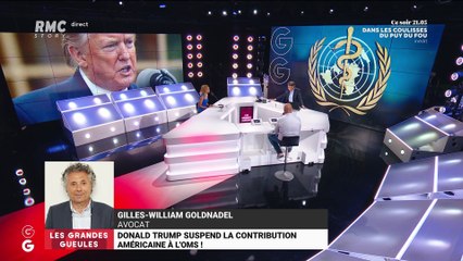 Les tendances GG : Donald Trump suspend la contribution américaine à l'OMS - 15/04