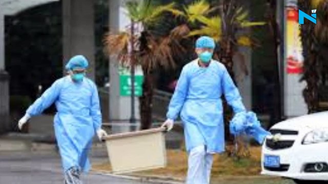 Donald Trump stops US funding to WHO, blames it for COVID-19 spread