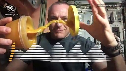 Honey’s Behavior in Zero Gravity is Super Weird and Cool