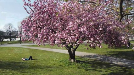Tag 23 der erweiterten Corona Ausgangsbeschränkungen in München (12.04.2020, Ostersonntag - Olympiapark)