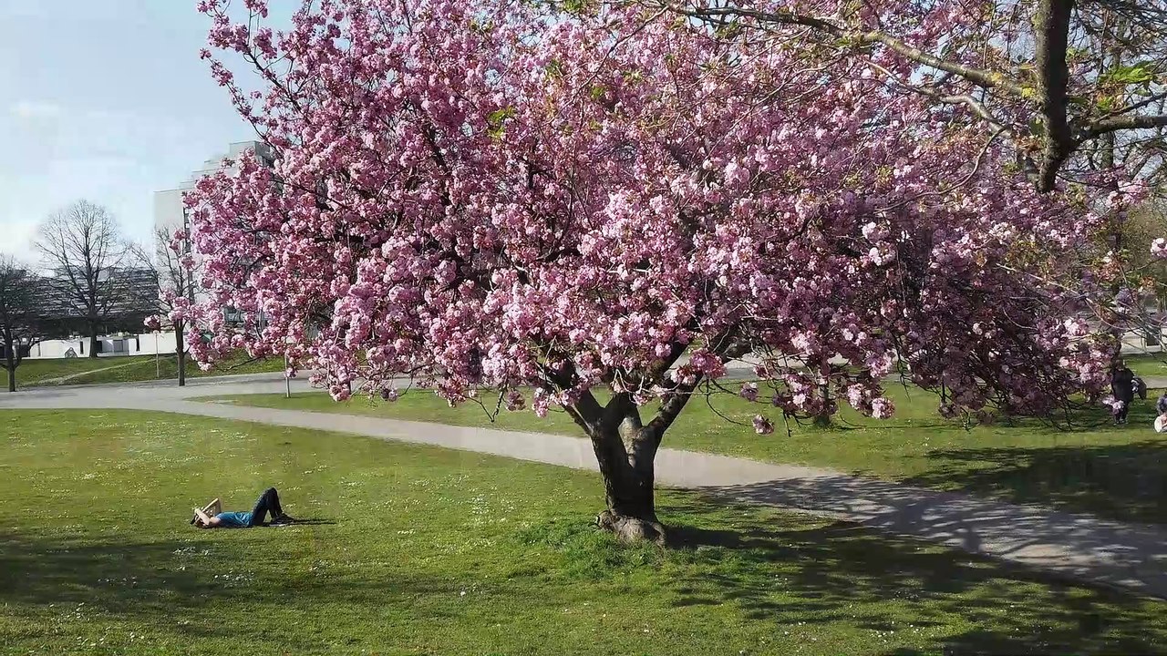 Tag 23 der erweiterten Corona Ausgangsbeschränkungen in München (12.04.2020, Ostersonntag - Olympiapark)