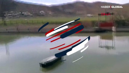 Çoruh Nehri'nde korkutan görüntü! Sudan çıkarılıp hemen imha edildi