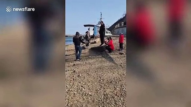 Outrage after Chinese tourist grabs seagull for photos and violently throws it away