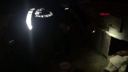 ESENYURT'TA VAHŞET YAVRU KÖPEĞİN BAŞINI KOPARIP, ÖN VE ARKA PATİLERİNİ KESTİLER