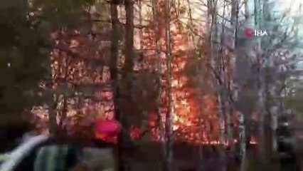 Çernobil'de 10 gündür süren yangın söndürüldü