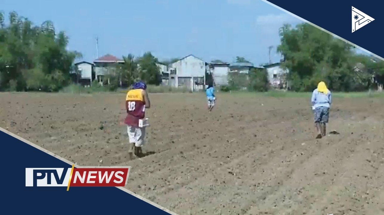 Alamin ang kabayanihan ng mga magsasaka sa Pampanga sa gitna ng krisis ng CoVID-19