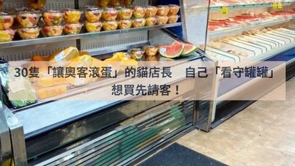 adgeek_teepr_curation_desktop_bottom-copy3-20200415-20:58