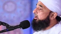 Molana Saqib Raza Mustafai Sb/Best Bayan