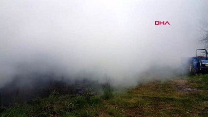 DÜZCE Kümeste çıkan yangında 12 bin tavuk telef oldu