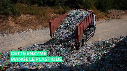 Les scientifiques ont conçu une enzyme qui dévore le plastique !