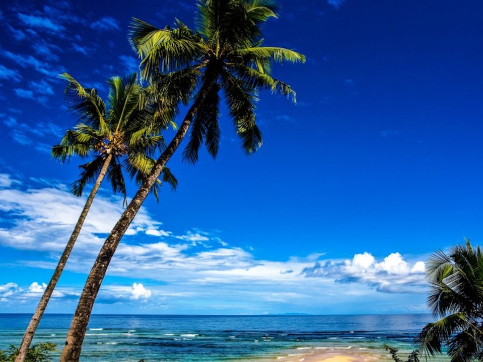 Frei von Corona? In diesen Ländern gibt es keine Covid-19-Infektionen