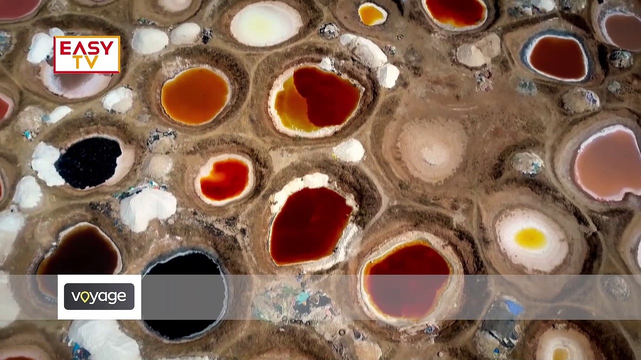 lancement easy tv CIV VI version prix