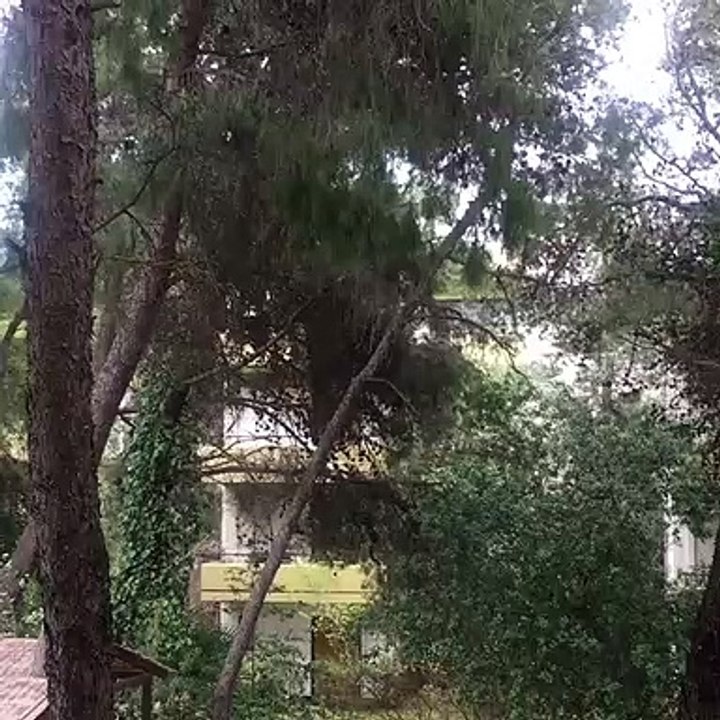 Η Ρούλα Κορομηλά χαλαρώνει στον εντυπωσιακό της...