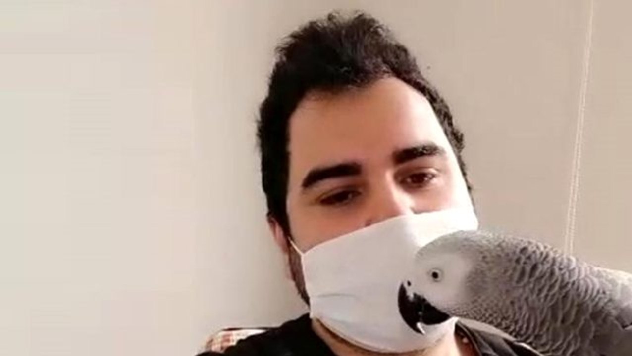 Sahibi koronavirüsü atlatan papağan: Evden çıkma, evde kal