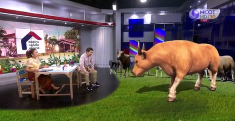 เรื่องพลบค่ำ (ช่วง 1) วันพุธที่ 15 เมษายน 2563