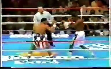Felix Trinidad vs Hector Camacho (29-01-1994) Full Fight