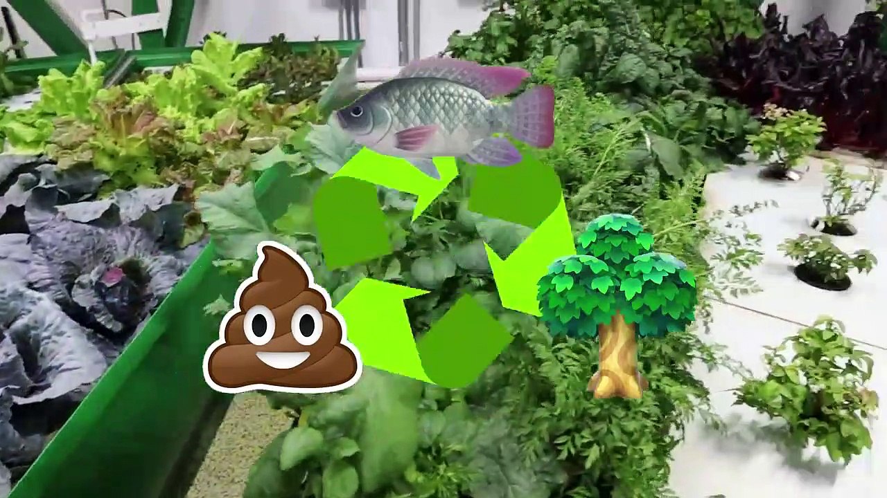 I Spent 24 Hours In A Doomsday Bunker