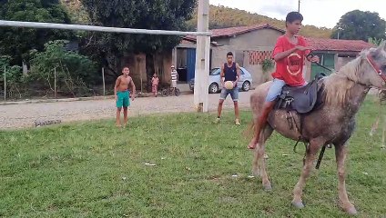 Horse Plays Soccer with Kids