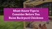 9 Must-Know Tips to Consider Before You Raise Backyard Chickens