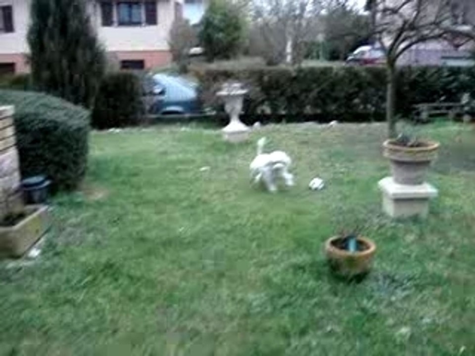 Sur 2 pattes