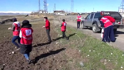 Genç Kızılay gönüllüleri, sokak hayvanlarını unutmadı